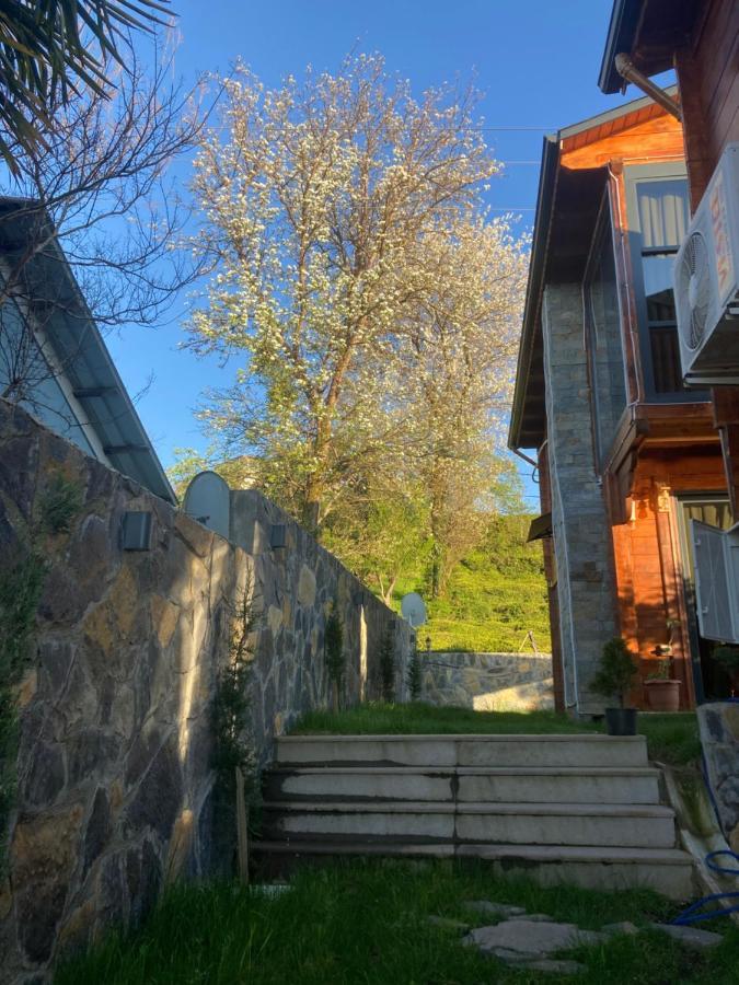 Delmare Suit Villa Ardeşen Buitenkant foto